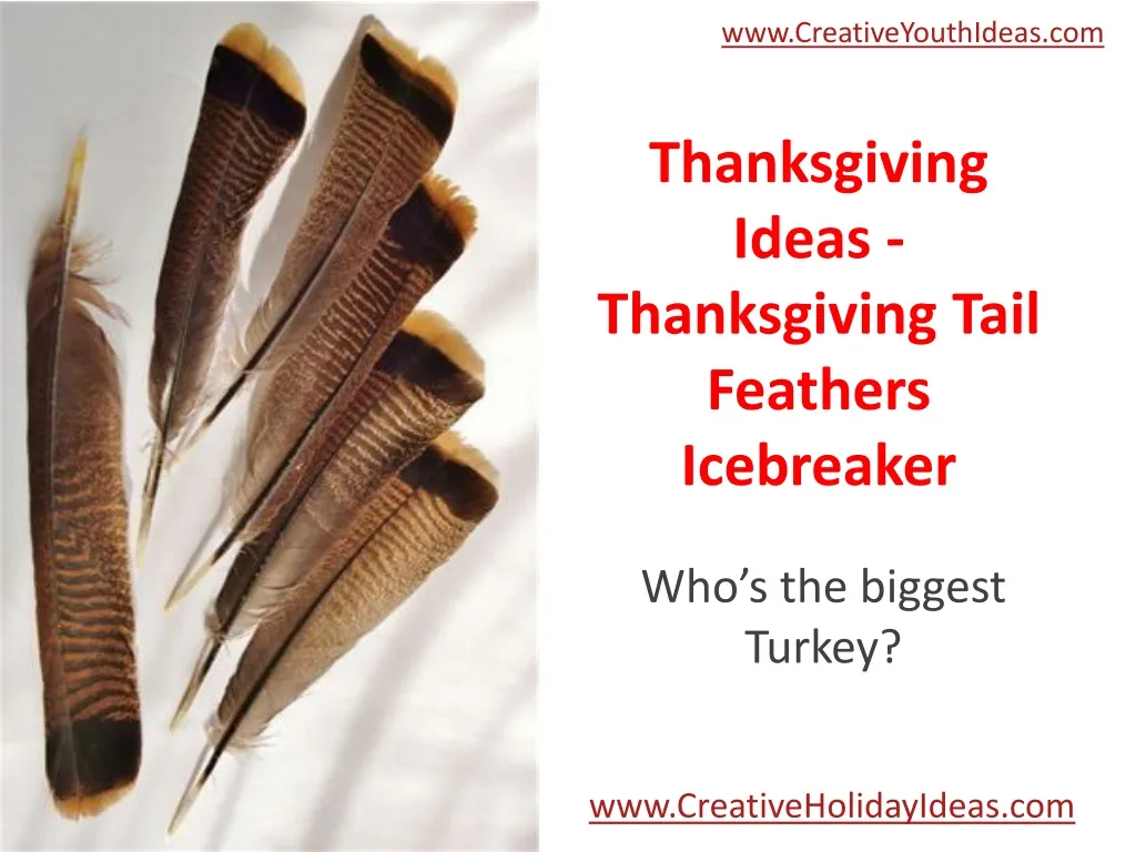 thanksgiving ideas thanksgiving tail feathers icebreaker