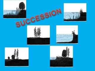 SUCCESSION - slide 1