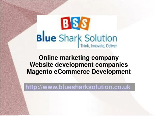Magento ecommerce Development to enhance on internet busines