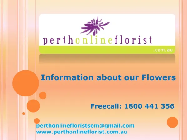 Perth Online Florist - Arrangements