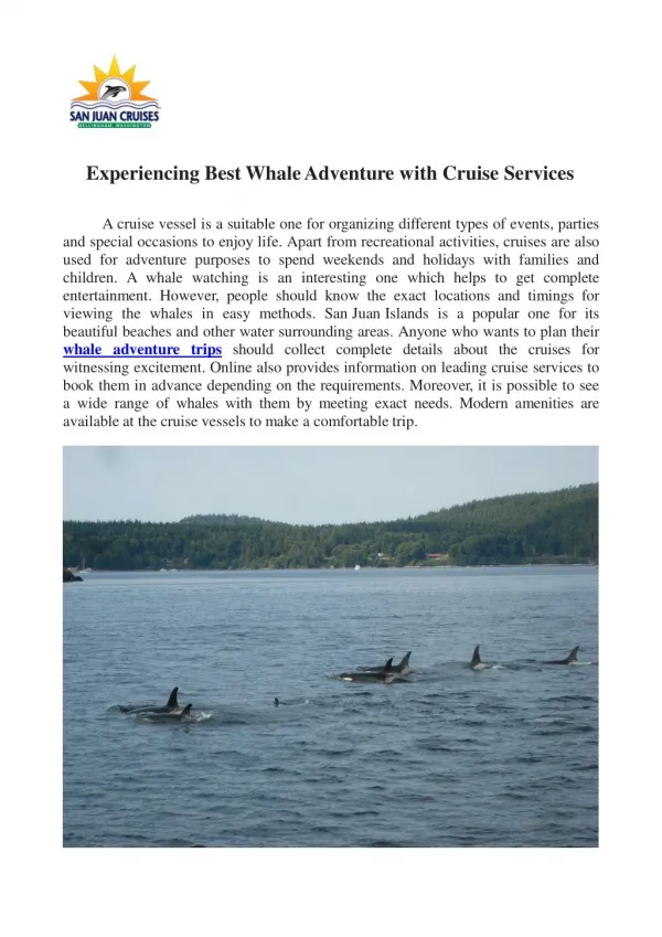 Experiencing Best Whale Adventure with Cruise Services