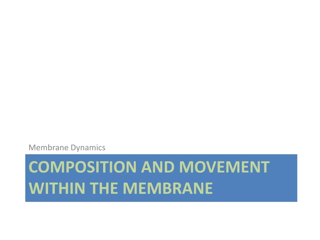 composition and movement within the membrane