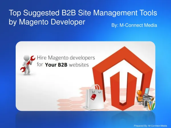Top Downloadable B2B Site Management Tools by Magento Develo