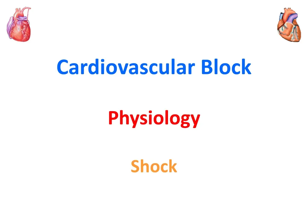 cardiovascular block physiology shock