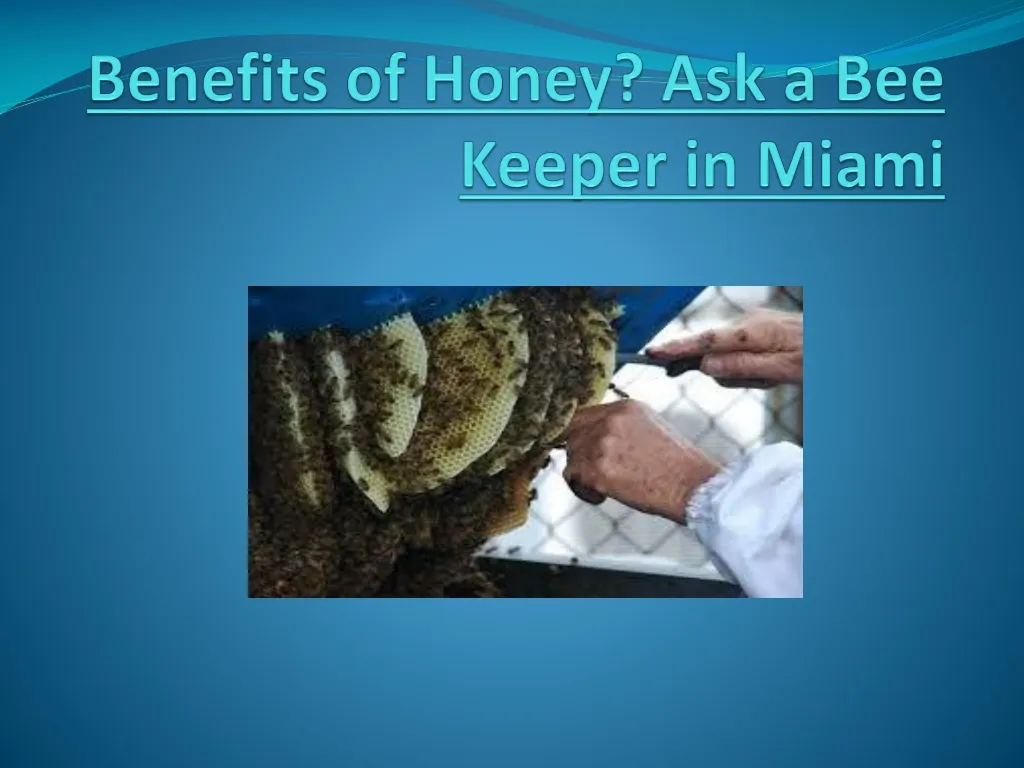 benefits of honey ask a bee keeper in miami