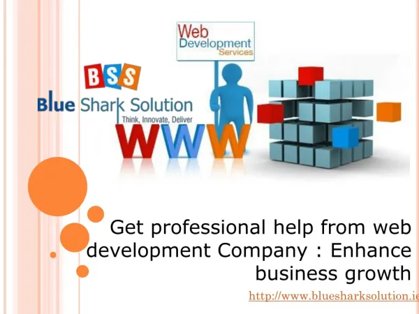 Get professional help from web development-enhance business