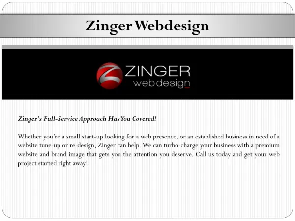 Zinger Web Design Service