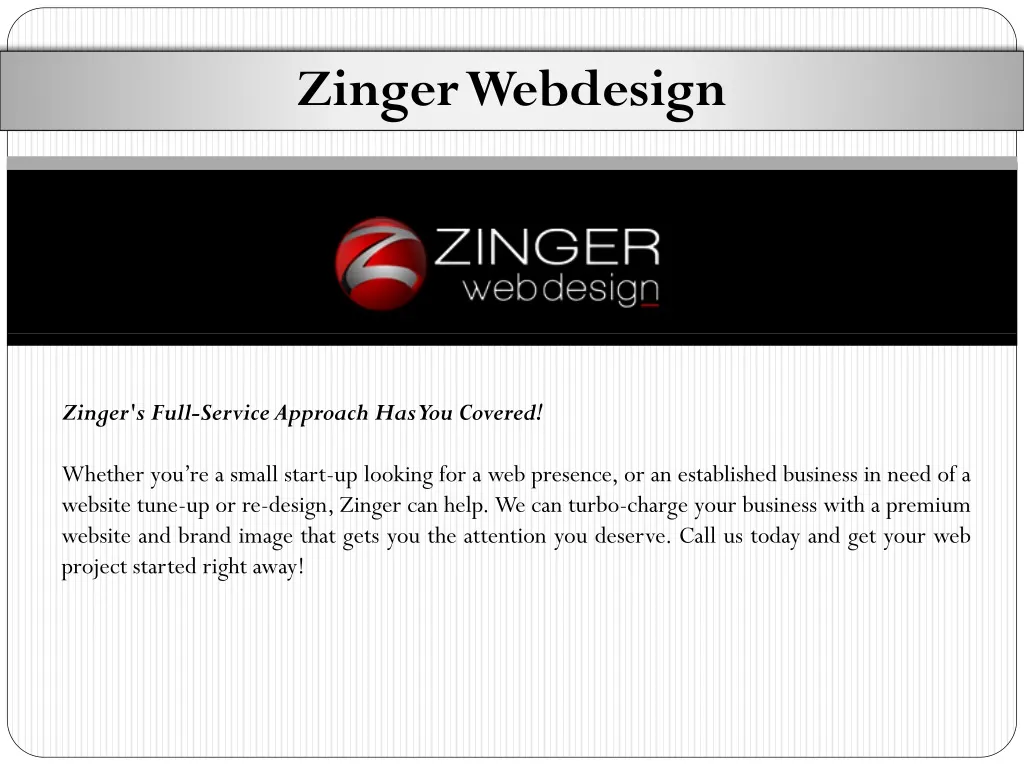 zinger webdesign