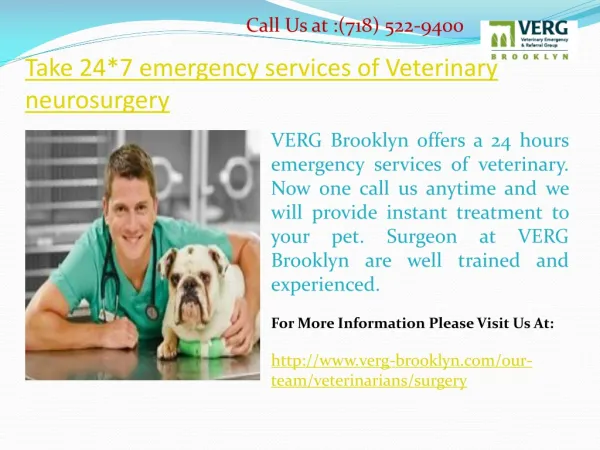 Take 24*7 emergency services of Veterinary neurosurgery