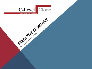 EXECUTIVE SUMMARY OF BUSINESS CASE - slide 1