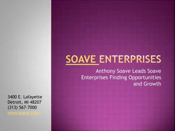 Anthony Soave Leads Soave Enterprises Finding Opportunities