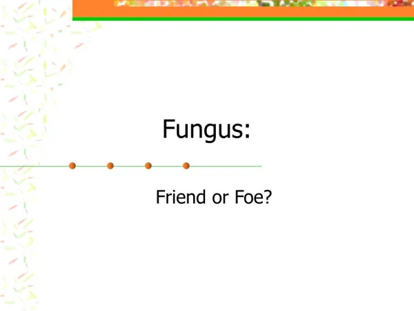 Fungus: