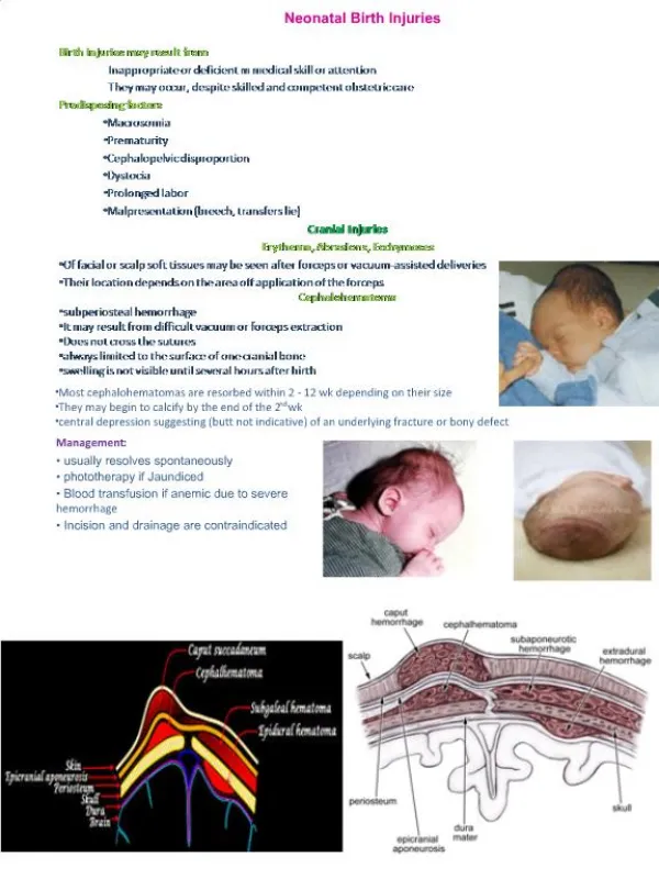 Neonatal Birth Injuries
