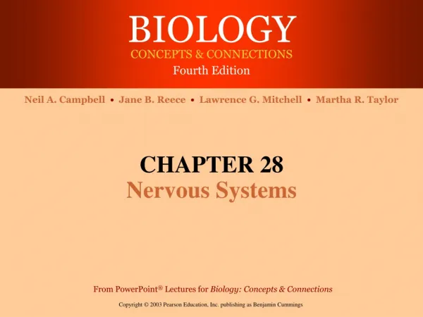 CHAPTER 28 Nervous Systems