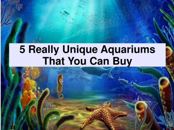 5 Really Unique Aquariums That You Can Buy