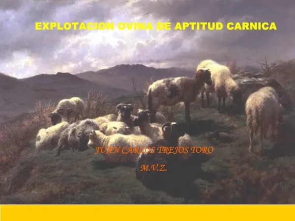 EXPLOTACION OVINA DE APTITUD CARNICA