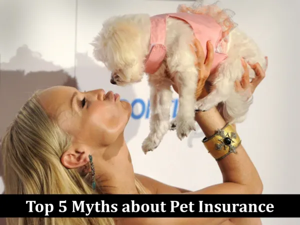 Top 5 myths about Pet Insurance
