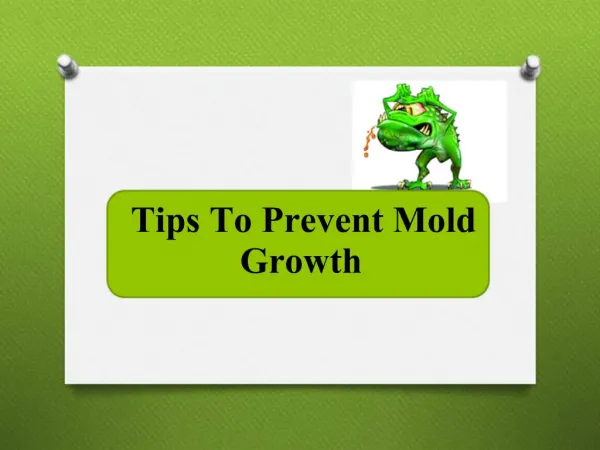 Hire Mold Inspection Company for a Hygienic Home