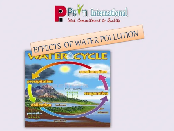 The Effects of Water Pollution