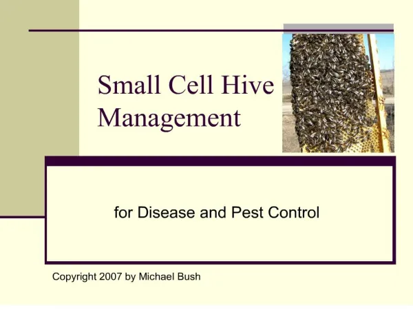 small cell hive management