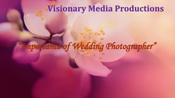 Importance of Wedding Photographer