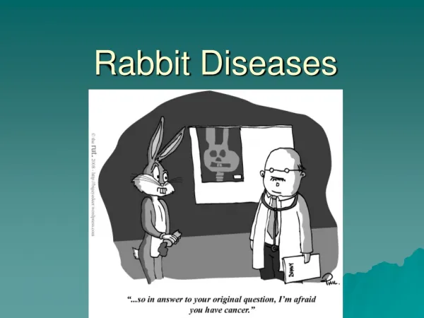 Rabbit Diseases