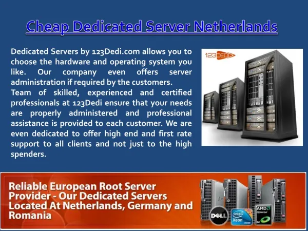 Offshore Dedicated Server Netherlands