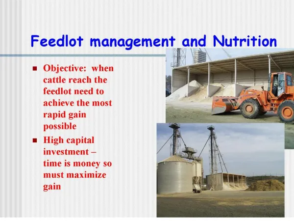 feedlot management and nutrition
