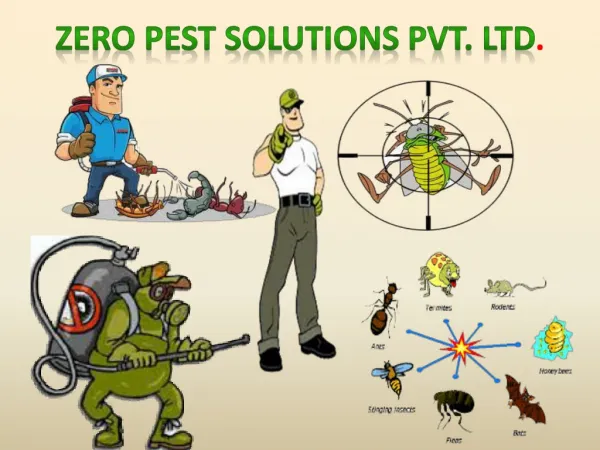 Termite Controller- Zero Pest Solutions