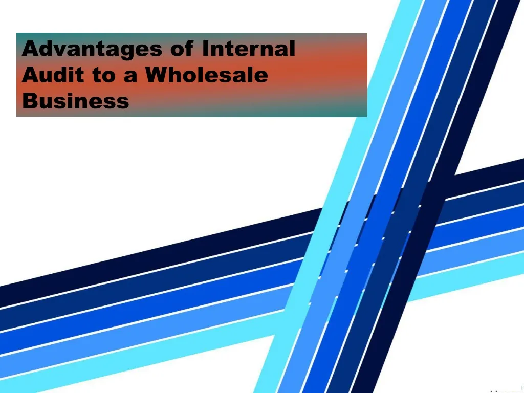 advantages of internal audit to a wholesale