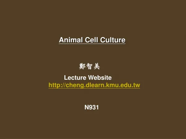 Animal Cell Culture ??? Lecture Website cheng.dlearn.kmu.tw