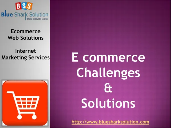E-commerce: Challenges and Solutions