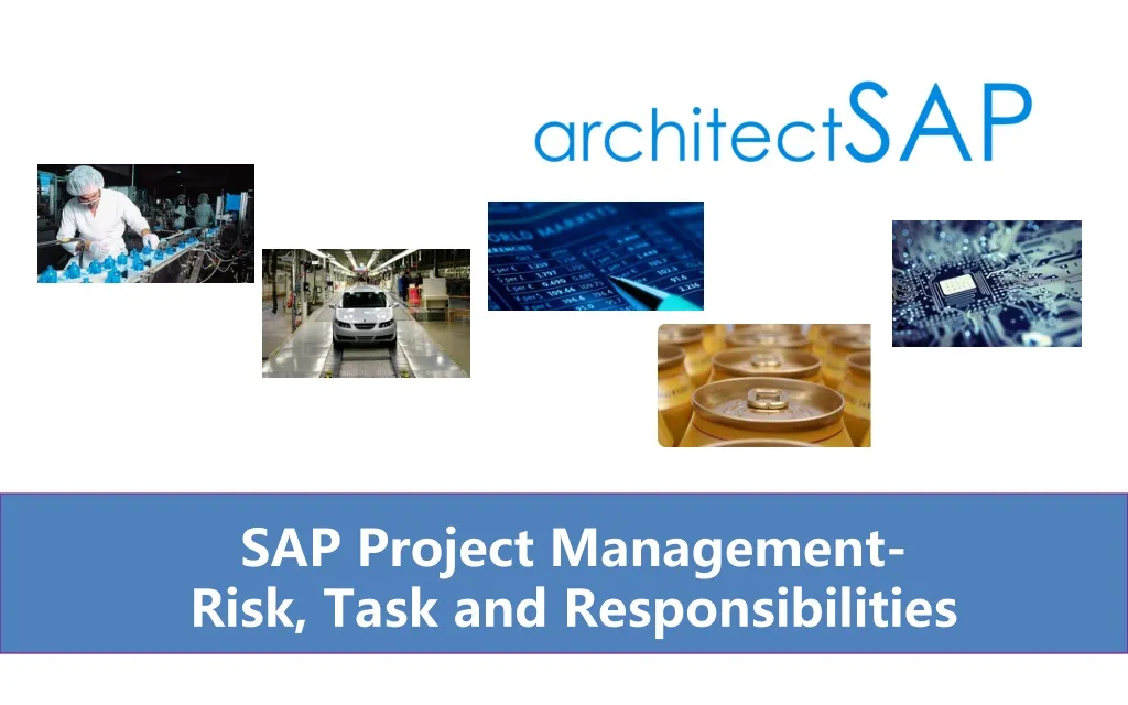 sap project management risk task and responsibilities