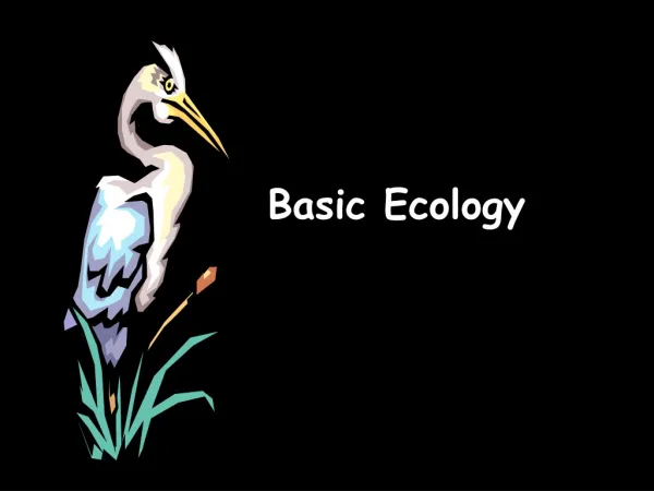 Basic Ecology
