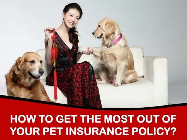 How to get the most out of your Pet Insurance policy?