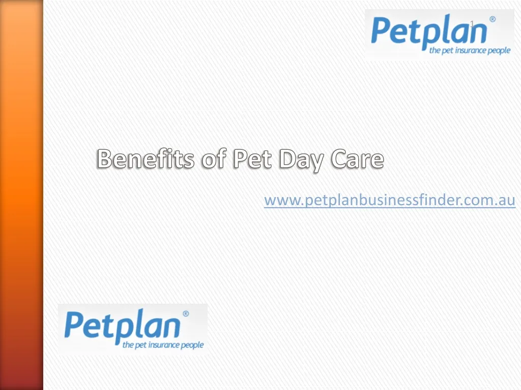 www petplanbusinessfinder com au