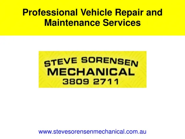 Professional Vehicle Repair and Maintenance Services