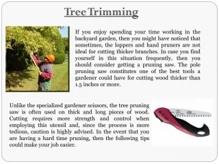 Tree Pruning - slide 1