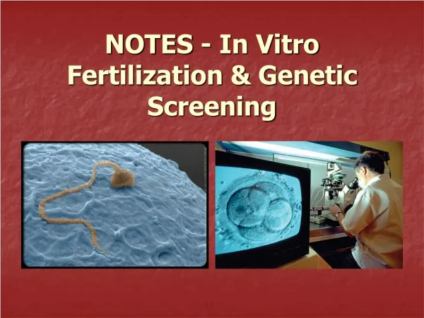 NOTES - In Vitro Fertilization &amp; Genetic Screening
