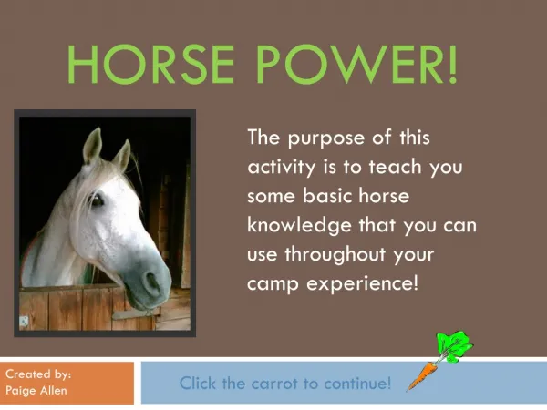 Horse Power!