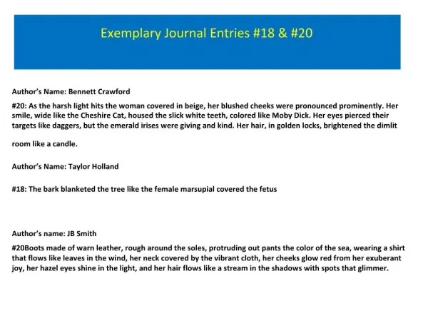 Exemplary Journal Entries 18 20