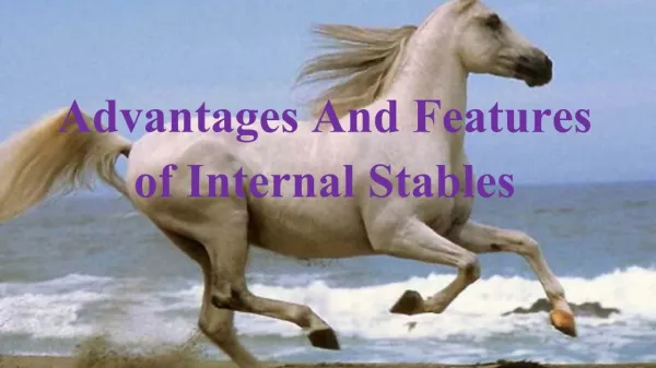 Advantages and features of Horse Internal Stables