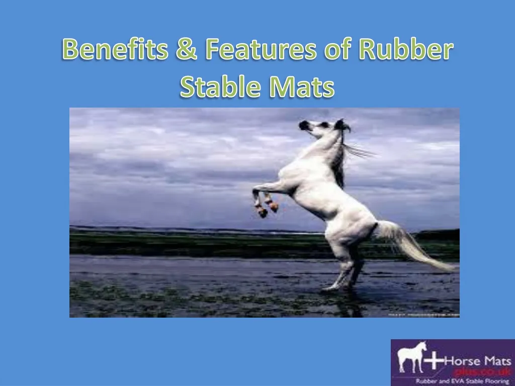 benefits features of rubber stable mats