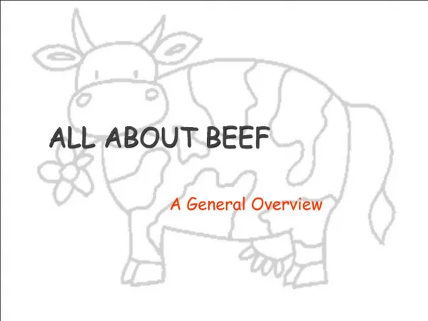 ALL ABOUT BEEF