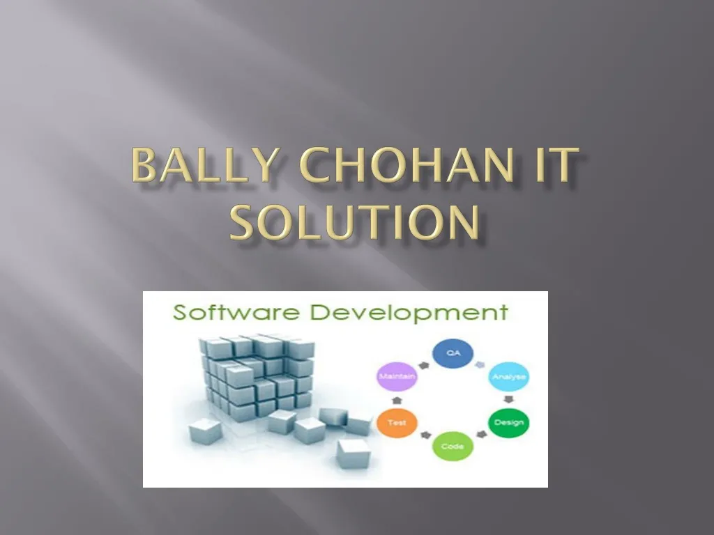 bally chohan it solution