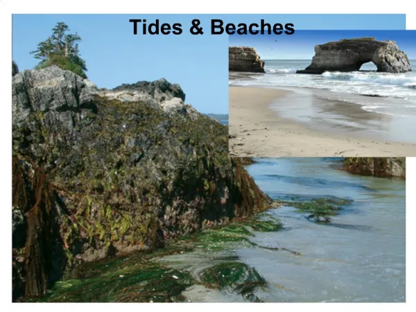 BEACHES Nearshore Sediment Transport Tides What are Tides Tides in the Coastal Ocean What Causes Tides
