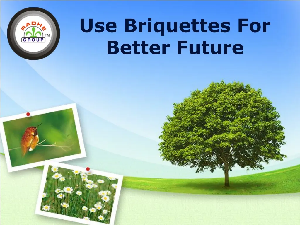 use briquettes for better future