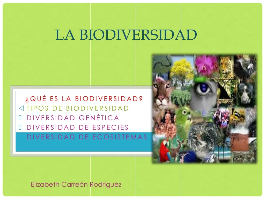 la biodiversidad
