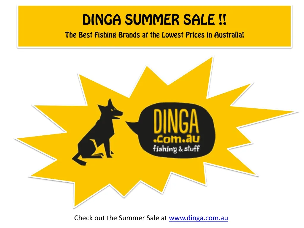 dinga summer sale the best fishing brands