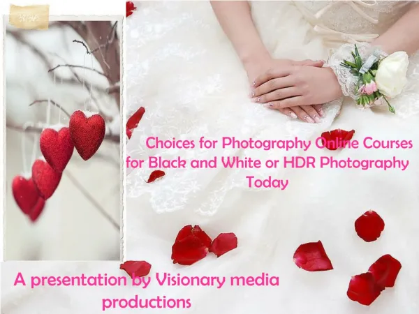 Choices for photography online courses